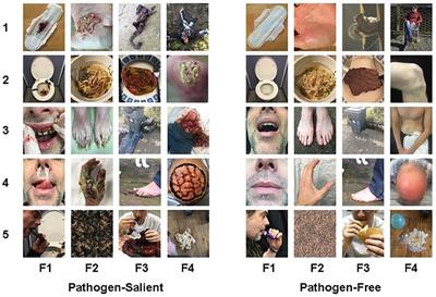 Visually Activating Pathogen Disgust: A New Instrument for Studying the Behavioral Immune System